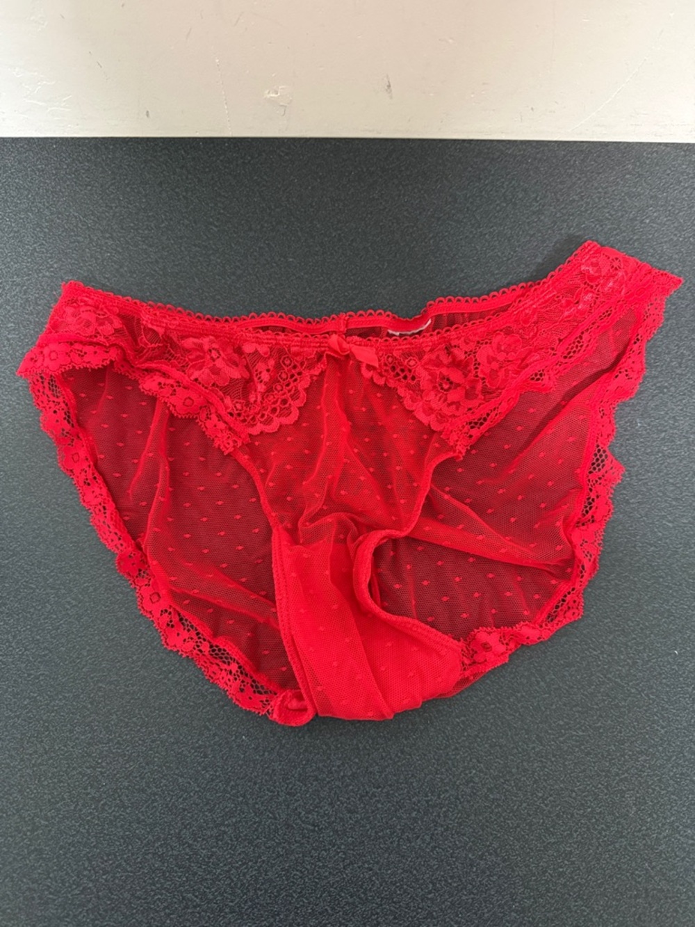 Lace-Trim Sheer Bikini Panty - Red